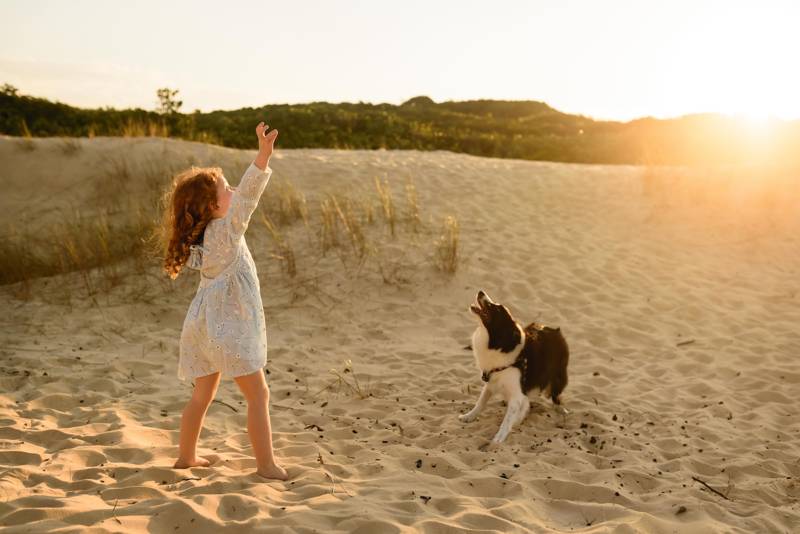 Hond op strand Callantsoog